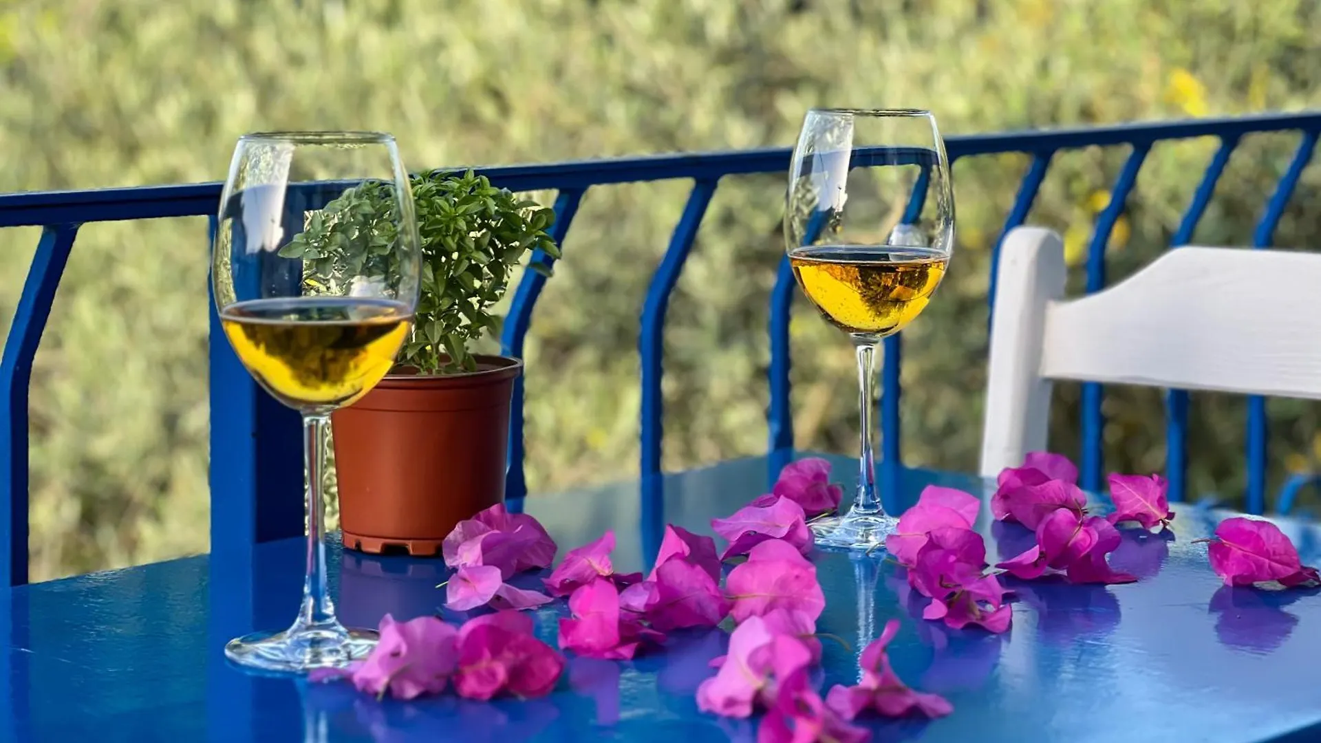 Pineloft Selimiye Hotel Muğla