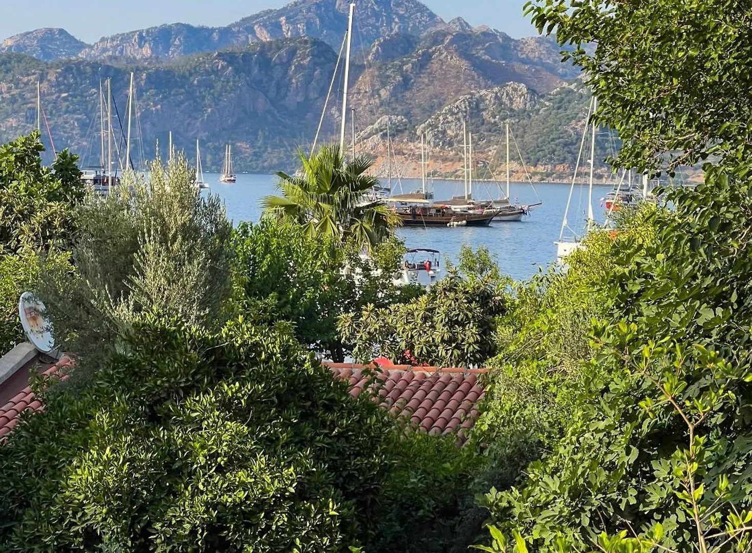 Pineloft Selimiye Hotel Muğla Törökország